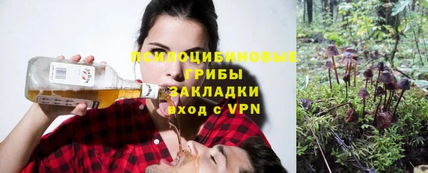 дурь Алексеевка