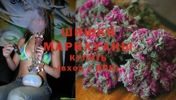 spice Алзамай