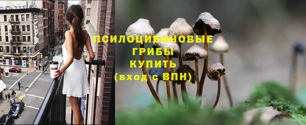 spice Алзамай
