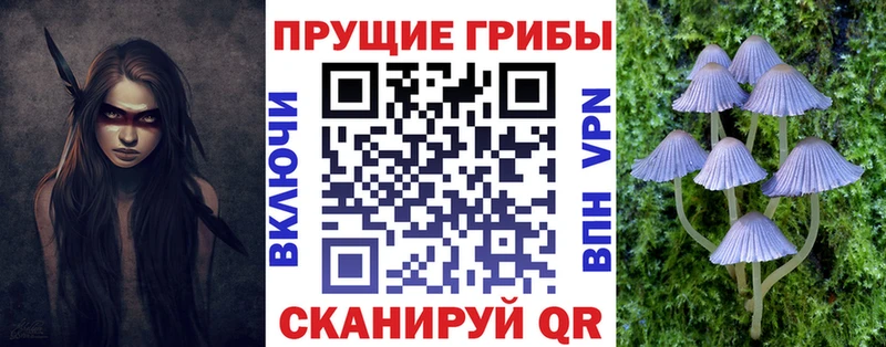 Галлюциногенные грибы ЛСД Покров